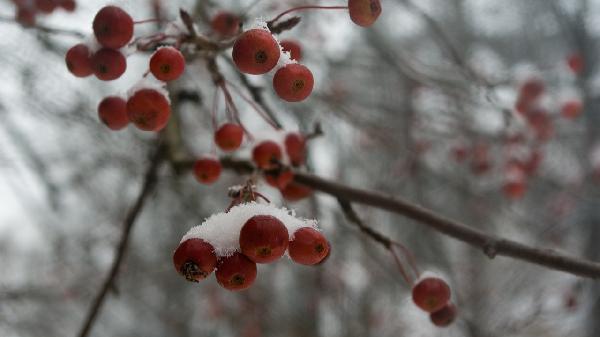 43岁女子最近3个月,天天吃樱桃,去医院检查后,身体状况如何?