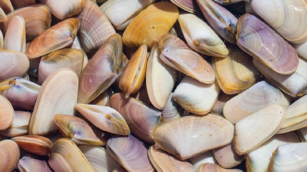 提醒：这4种食物，正悄悄“加重”胃病，不想患上胃癌，尽量少吃