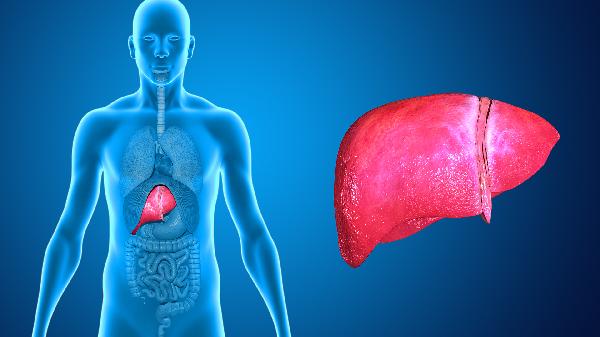 肝病来没有一点“动静”?这4种症状一定要警惕,当心患上肝衰竭