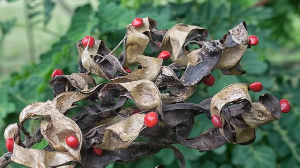 睡眠不好怎样治疗调理