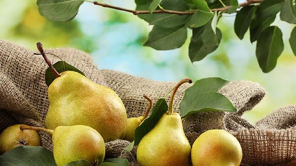 红花梨木菜板怎么样