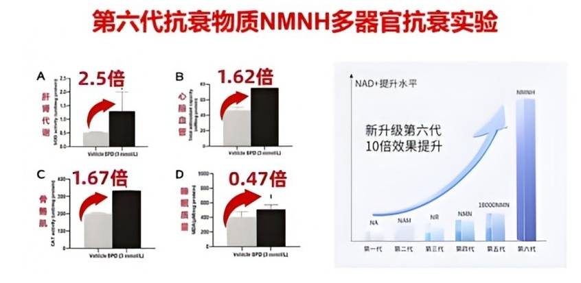 GRANVER吉瑞维：以第六代NAD+提升技术，精准切中人体衰老节点
