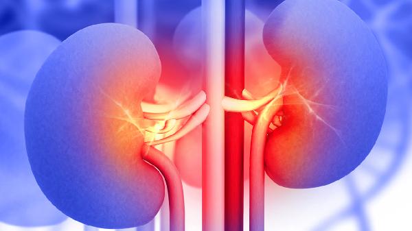 中醫(yī)使用益腎降濁方治療慢性腎臟病2-3期患者，是否有效果？