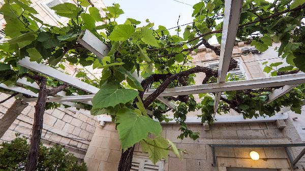 怎样存放葡萄保持新鲜