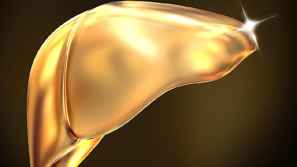 风流果伤肝还是护肝