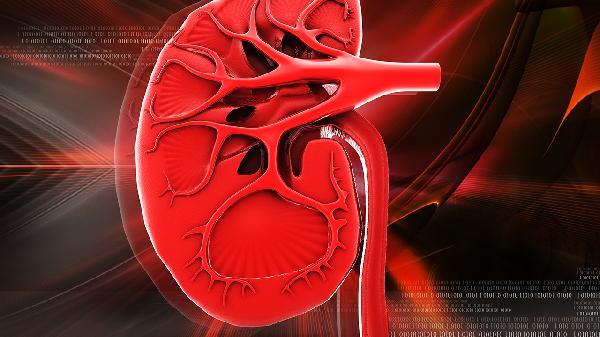 肾病综合征的原因有哪些症状