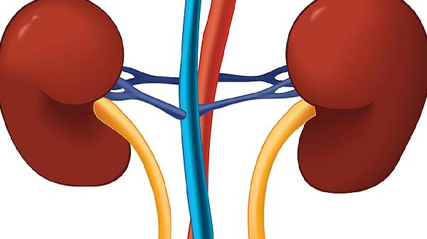 肾血管性高血压常见病因不包括什么病