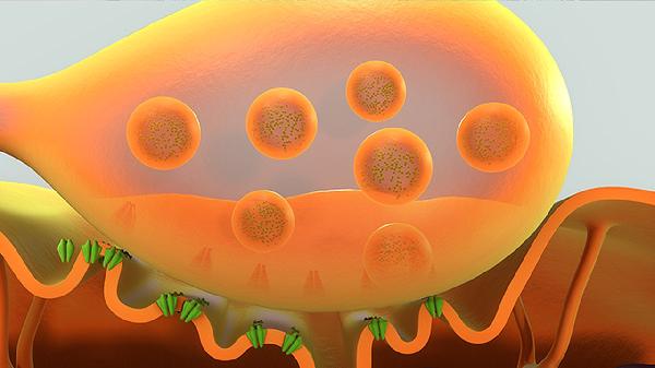 肾上腺肿瘤术后会不会复活