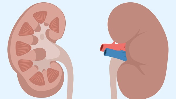 伤害肾脏行为排名公布！吸烟行为排名垫底，看看有你正在做的吗？