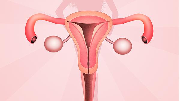 女的陰道里有沒有hpv