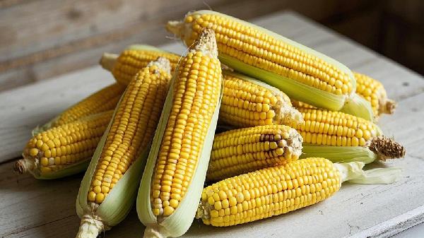 玉米二次追肥用什么肥料好