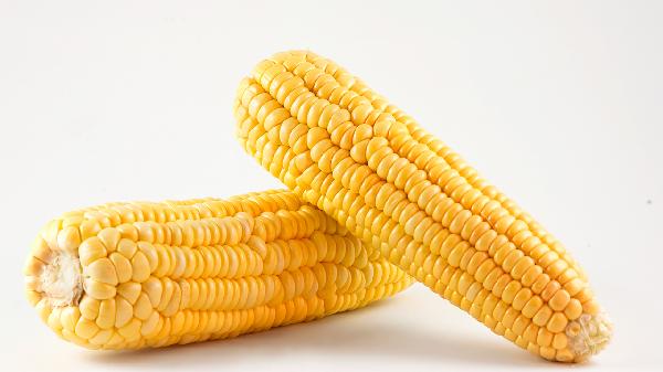 玉米叫一个还是一根