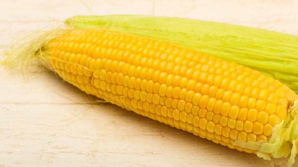 糯玉米还是甜玉米热量低