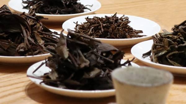 茶叶如何分辨好坏