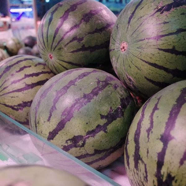 西瓜在哪个季节成熟