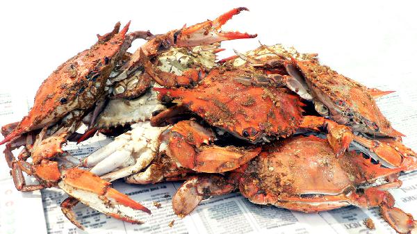 海鲜是碳水食物吗