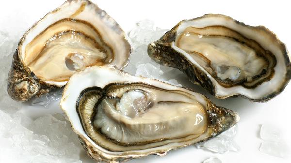 补锌用生牡蛎粉还是煅牡蛎粉