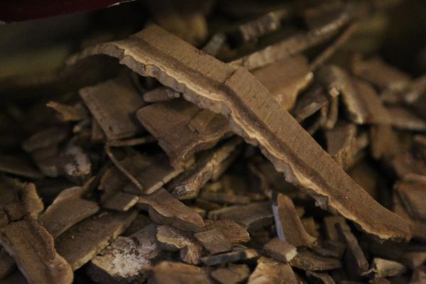 中医认为为什么会长粉刺