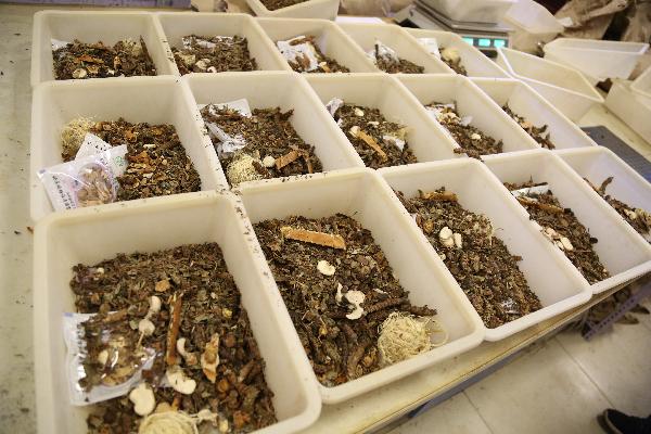 狭窄70%吃中药多久见效