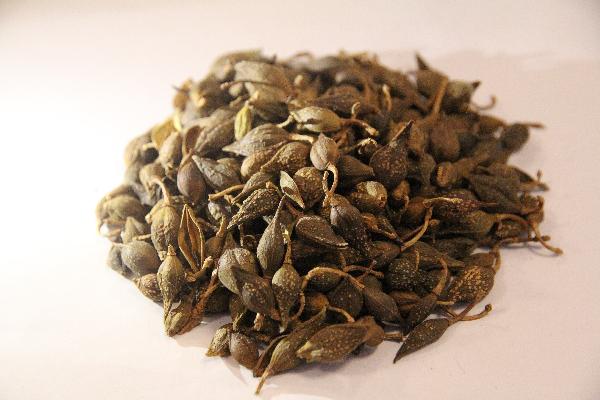 膽汁反流性胃炎特效藥中藥