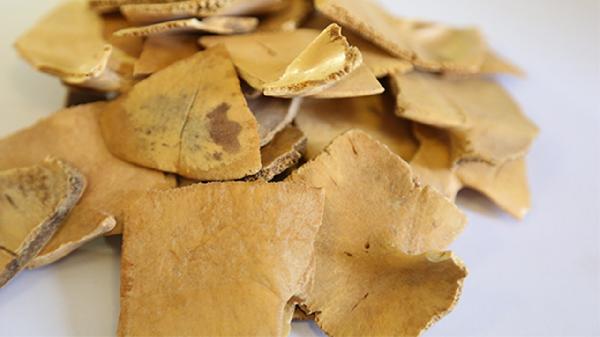 霉菌性陰炎喝中藥有沒(méi)有用