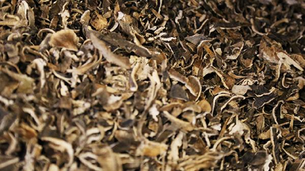 中药山药的功效与作用