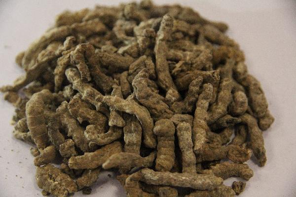 補腎氣的中藥第一名