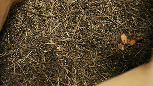 膽汁反流性胃炎中藥方案及方劑