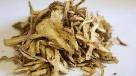 去湿气最好的10大中药