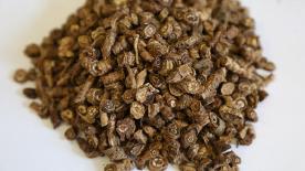 中国目前最好的降糖中药