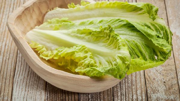 生菜在冰箱放了十天还能吃吗