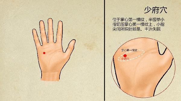 湿气太重挂中医什么科