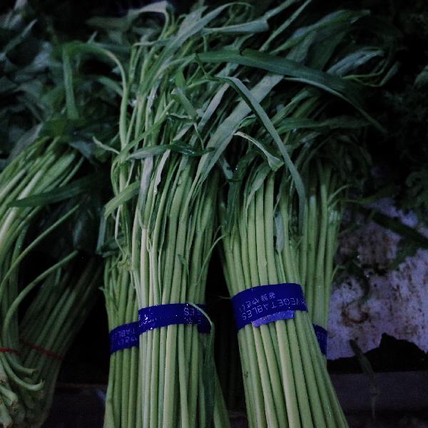 冰箱里剩菜可以放多久