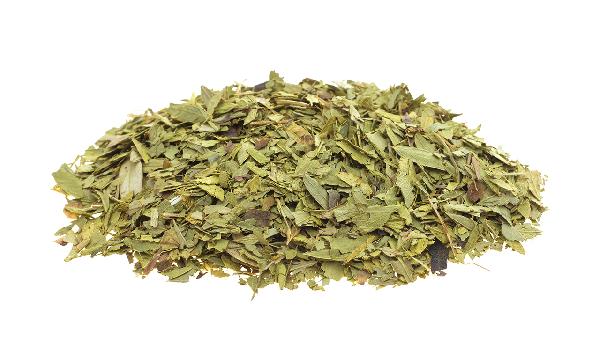 番泻叶药片一次吃几粒