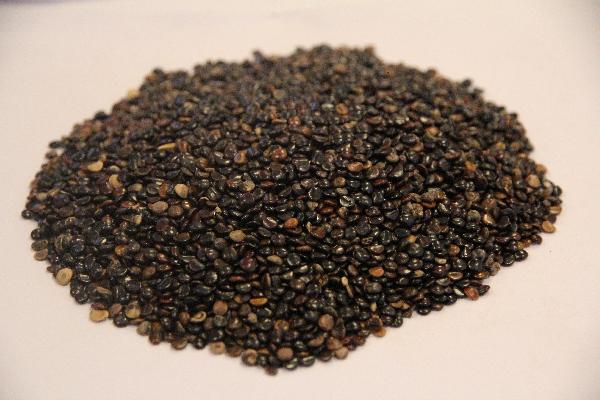 吃中药可以吃豆芽菜吗