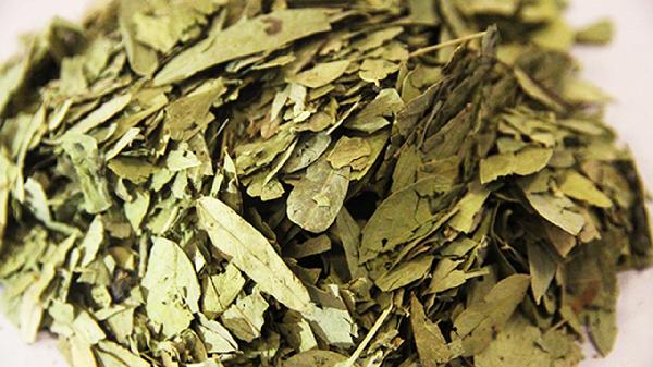 番泻叶能喝茶一起喝吗