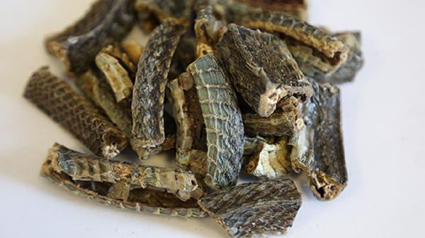 消食化积用什么中药好