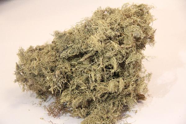 去胃寒最有效的方法中药