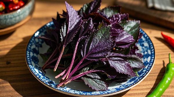 紫苏叶泡水能治失眠吗