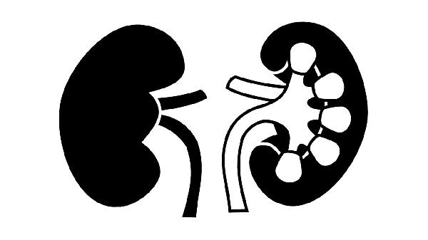 慢性腎炎能不能吃保健品