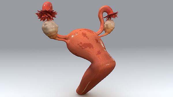 宮頸肥大可影響懷孕