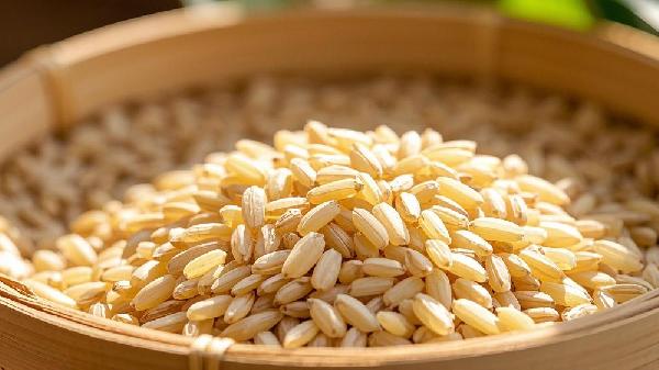 糙米和米饭热量哪个高
