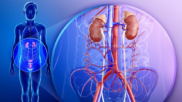 怎么治疗腹主动脉瘤 治腹主动脉瘤的3个疗法介绍