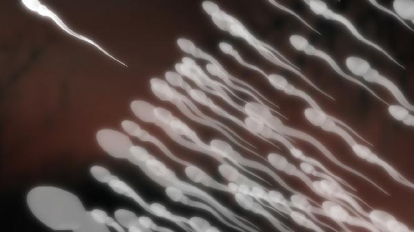 女性人工授精需要什么条件