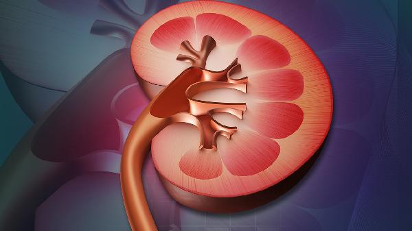 急性腎小球腎炎和腎病綜合征有什么區(qū)別