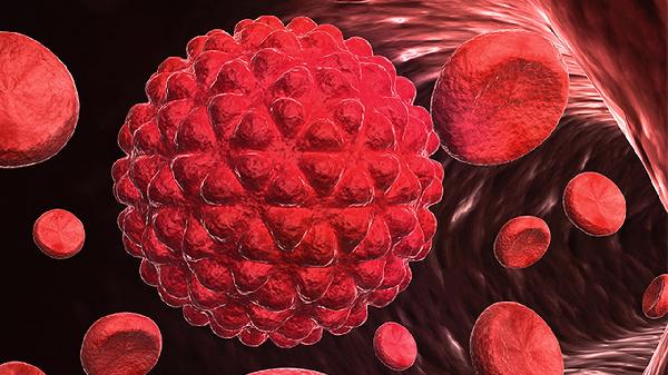 血管为何会越来越堵？医生直言：或和这些因素有关，千万别大意！