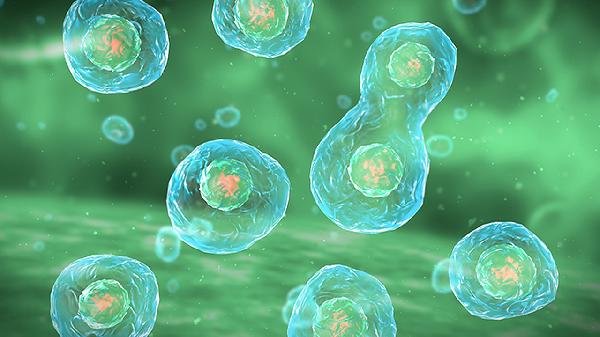 癌症总悄无声息的来?医生:有这几个症状或说明体内有癌,快就医