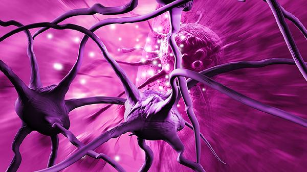 体检不做这四个检查，得了癌症都不知？医生：花再多钱都要检查！