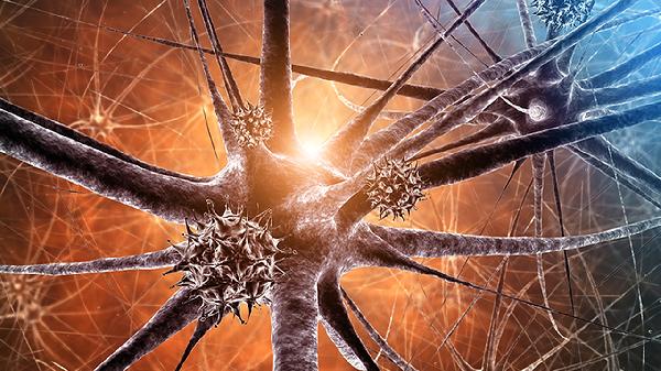 多数癌症患者死于细菌感染？掌握2点让“感染远离”，不可轻视