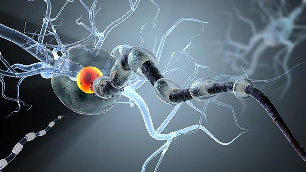 腰是癌症“显示器”?医生:腰部有这几种异常,当心癌症找上门!